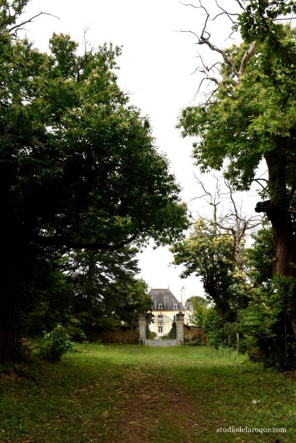 Bed and Breakfast Domaine De La Briouse Sanxay Экстерьер фото